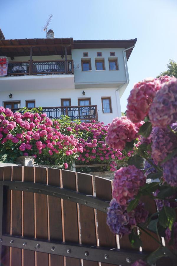 Hotel Artemisia House Tsagarada Esterno foto