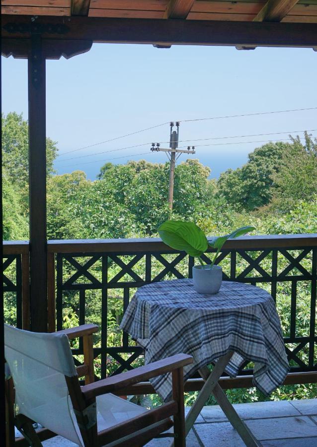Hotel Artemisia House Tsagarada Esterno foto