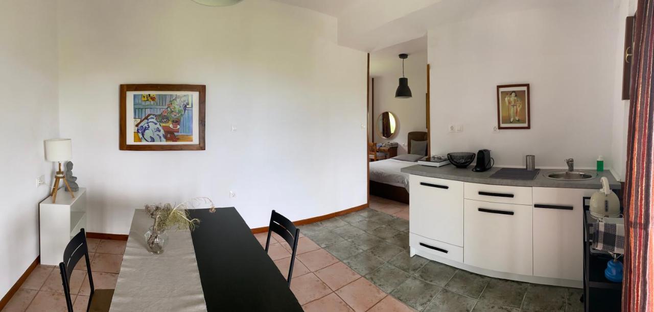 Hotel Artemisia House Tsagarada Esterno foto